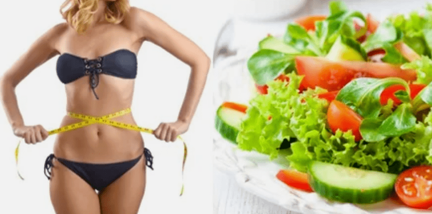 Les règles de la nutrition sont populaires